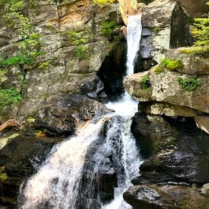 Shop early for the holidays🎄🎃🎅🏻🎁